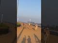 cmal race #love cmals 10 mlion views