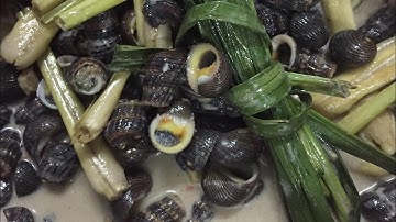 Cách Xào Ốc Len , Ốc Ngựa Xào Nước Cốt Dừa Lá Dứa Ngon Phần 1#food #amthuc @nghinguyenmilk