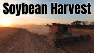 Soybean Harvest Challenges Information
