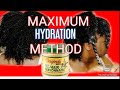 African best hair mayonnaise protein treatment/maximum hydration method