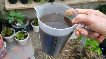SECRETS to massive harvests! COMPOST WORM TEA organic fertilzer