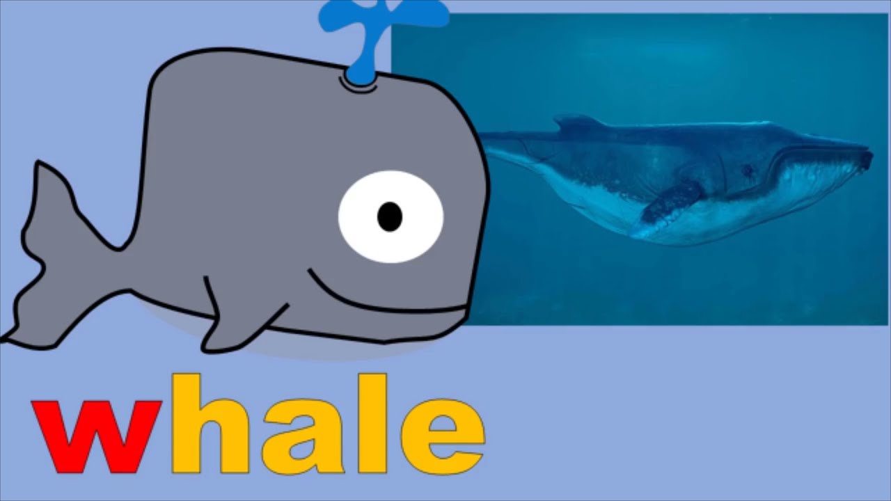 Phonics Song Kidzstation YouTube