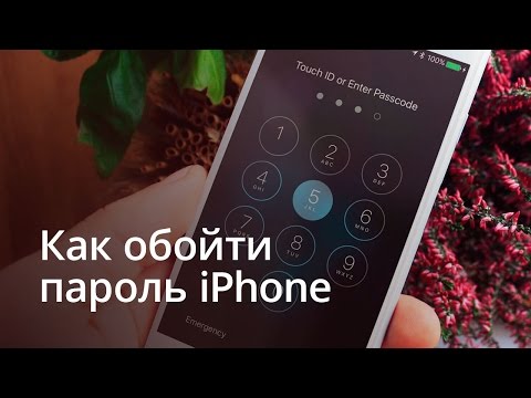 Как обойти пароль iPhone