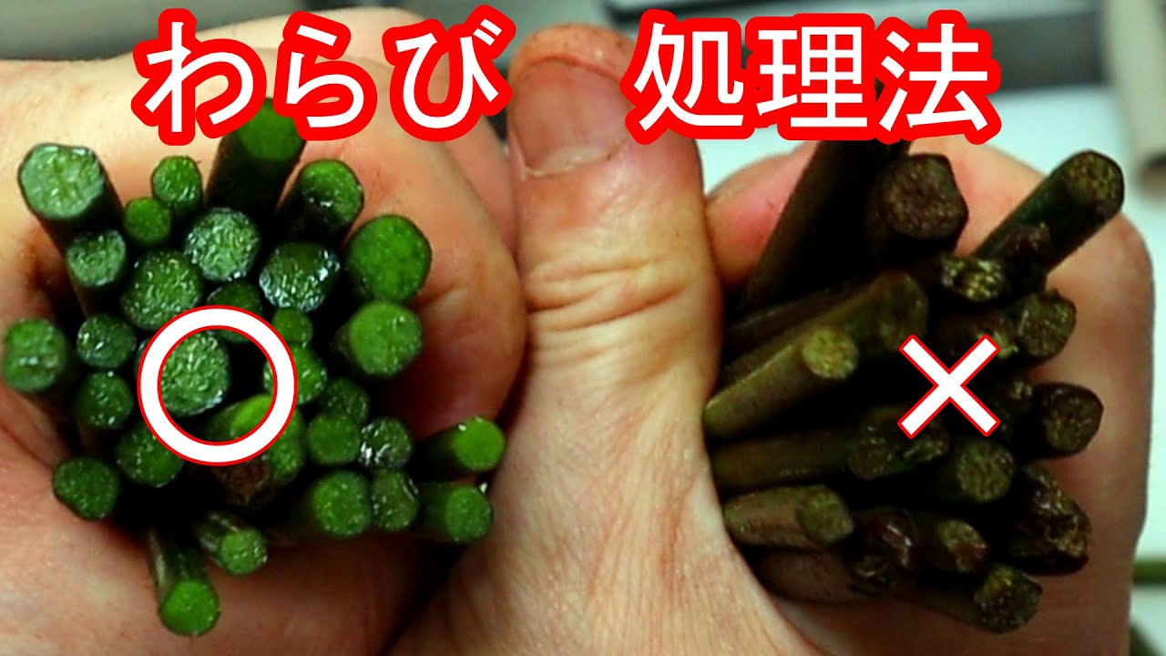 一番お手軽で綺麗にアクが抜けるのはこれ！　わらびのあく抜き