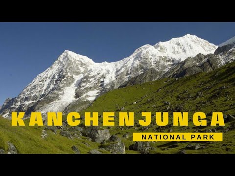Kanchenjunga National Park | Kanchenjunga mountain | Kanchenjunga trek #kanchenjunga