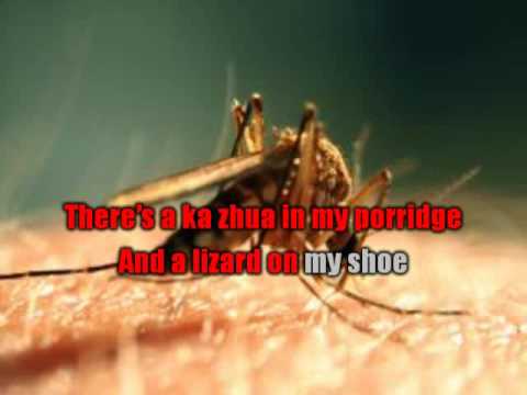 Mosquito song (With Lyric and Sing along) - MrBrown Show Production