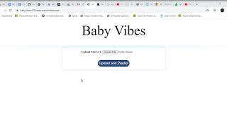 Details Baby Vibes Image classification using Pytorch and Azure machine learning service News