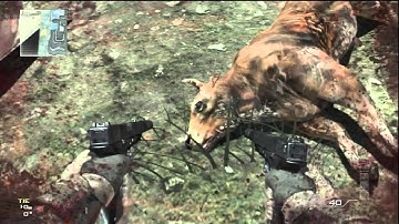 MW3 Mods: NEW Bypass All Deathbarriers & Walk Around During Game Countown