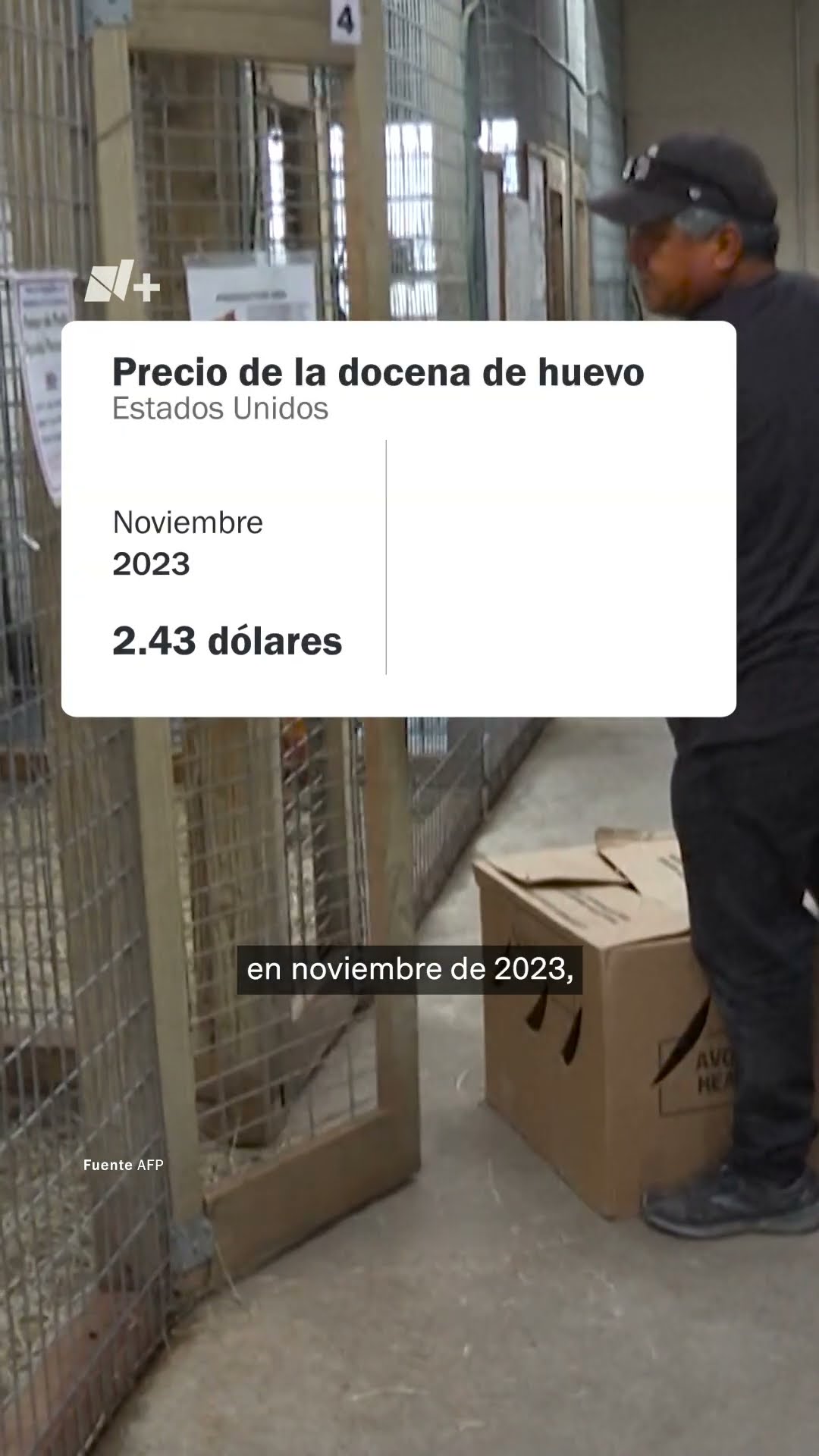 La gente compra gallinas por desabasto de huevo en EE. UU. - N+ #Shorts