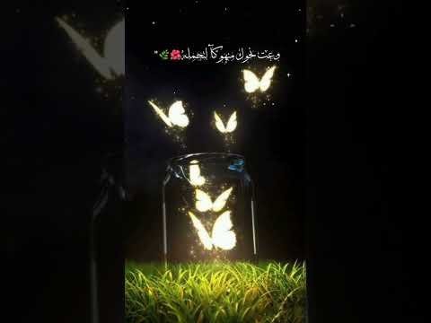 سلمت قلبي ياربي لتغسله حالات واتس اب اناشيد دينية