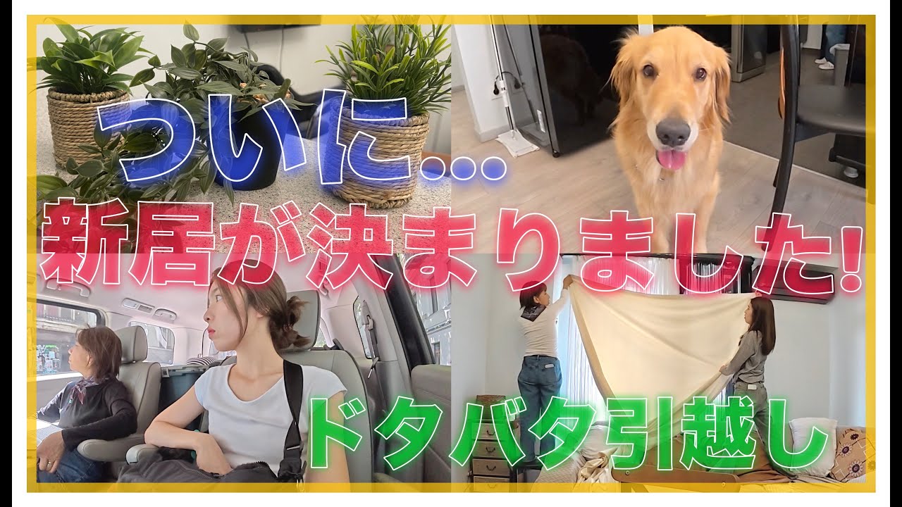 【海外Vlog】愛犬とドタバタ引っ越し！ジョージア新生活の幕開け