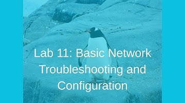 LPIC-1 Lab 11: Basic Network Troubleshooting and Configuration
