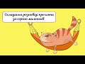 05 Складання розповіді за серією малюнків Про кота Частина 2 mp3