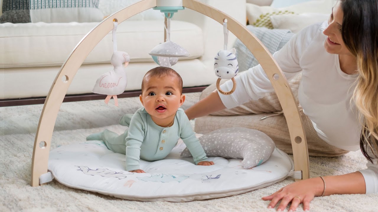 【未開封】aden+anais activity gym Amazon.com: aden + anais Play and Discover Baby Activity Gym