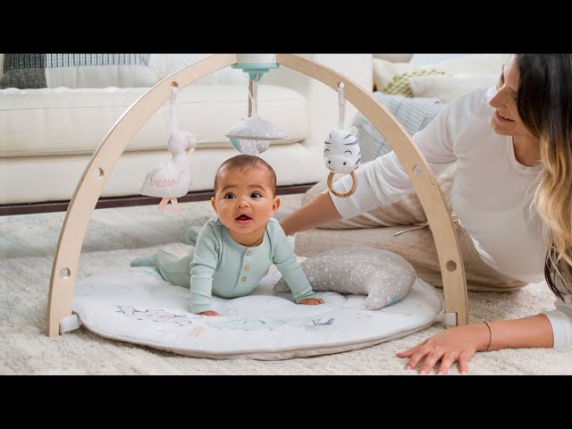 introducing the play + discover activity gym from aden +