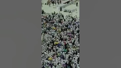 ما تيسر من سورة ص بصوت الشيخ أحمد عيسى المعصراوي برواية ورش عن نافع