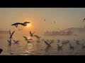 Maa Narmada ❤️