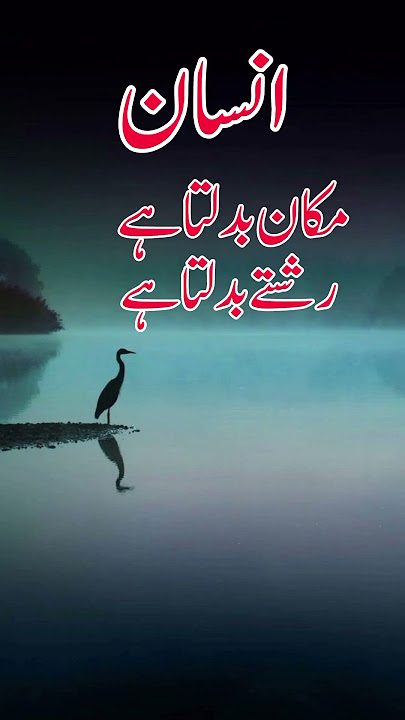 Achi batain in urdu | urdu quotes heart touching | Islamic videos #shorts  #islamicstatus