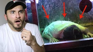 WE FOUND THIS IN AN ABANDONED HOUSE..