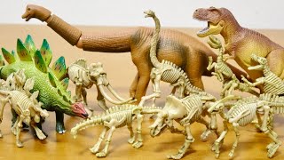 どこで買ったか忘れた恐竜骨格フィギュアが8体入ったセット!骨格コレクション