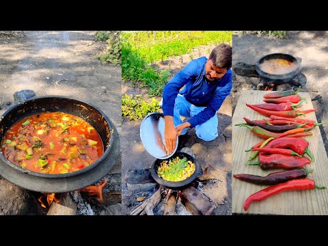 Indian Lunch Cooking at Farm in a village of Gujarat | Street Food & Travel TV India