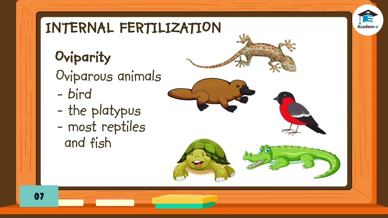 SCIENCE05L09: Sexual Reproduction in Animals - YouTube