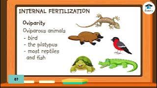SCIENCE05L09: Sexual Reproduction in Animals