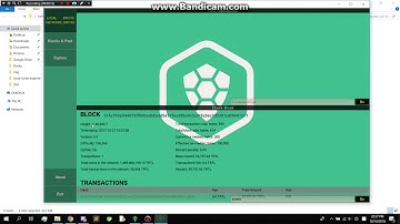 turtle completo demo - turtlecoin