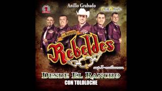 Los Nuevos Rebeldes - Anillo Grabado (Desde El Rancho Con Tololoche 2013) chords