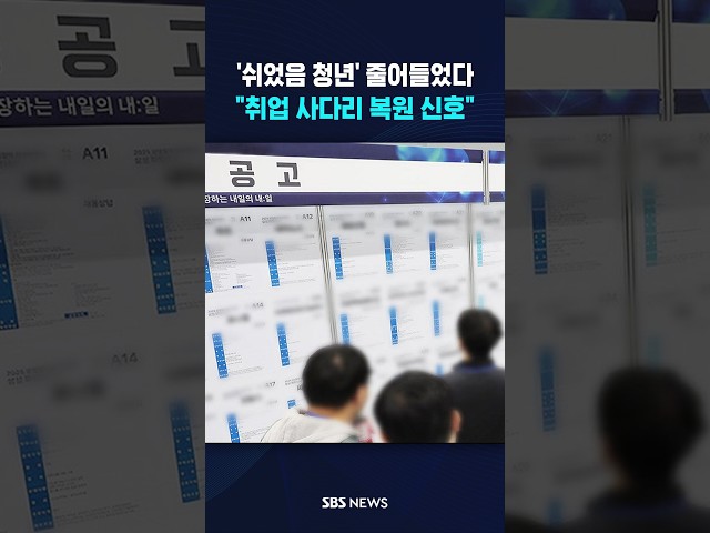 '쉬었음 청년' 줄었다 "복원 신호" #shorts