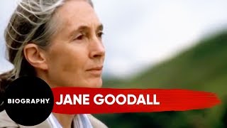 Jane Goodall | Animal Rights Activist, Inspired By Doctor Dolittle | Biography