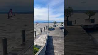 LAKE NEUSIEDL / AUSTRIA MARCH 2024 #austria #travel #holiday #europe #spring #short #youtubeshorts