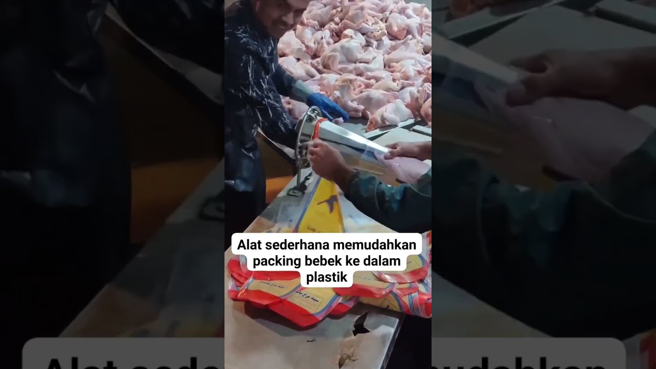 alat packing daging ayam
