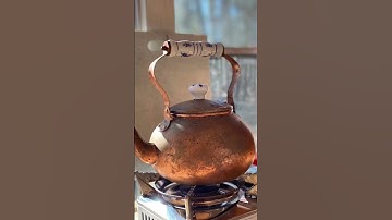 Short bus to tiny house on wheels #tinyhouse #tinyhousedesign #busconversion #skoolieconversion