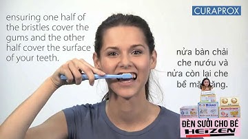 Hướng dẫn chải răng đúng cách, hiệu quả