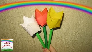 Поделка цветок из бумаги: тюльпан Поделка цветок из бумаги: тюльпан