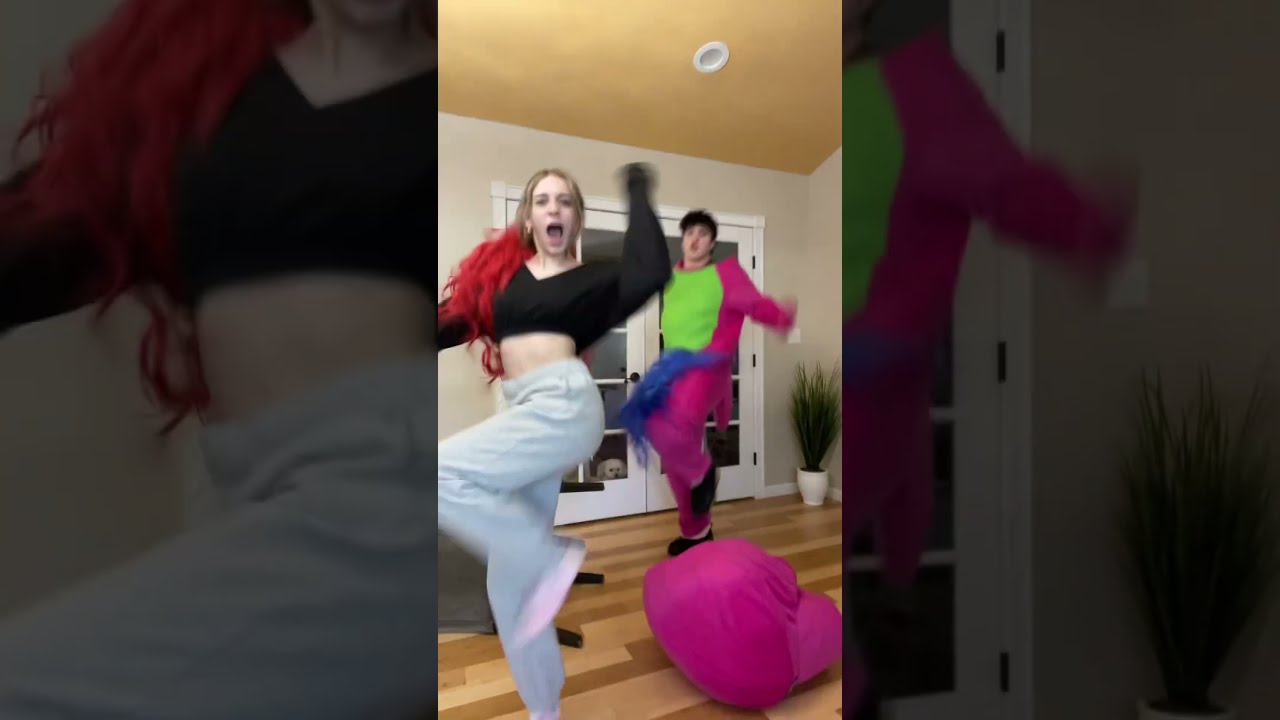 Barney Remix Dance 