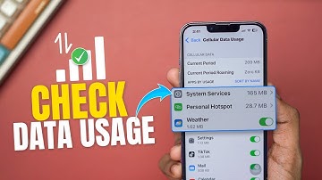 How to Check Mobile Data Usage on iPhone | Track Data Usage on iPhone