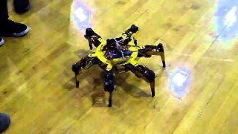 Hexapod_at_UPENE_2010.avi