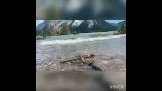 Aamar Hridoy ....tomar apon hather Dole ...Dolao Dolau..Dolao amar Hridoy