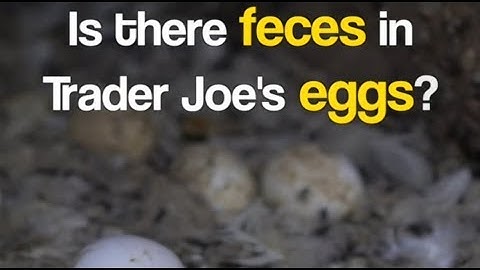 Truth about Trader Joe