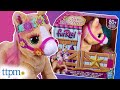 Furreal cinnamon my stylin pony from hasbro review