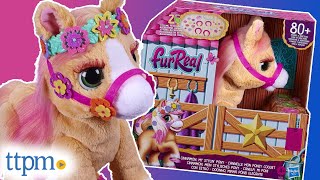 FurReal Cinnamon, My Stylin' Pony from Hasbro Review!