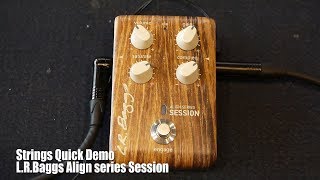 LR Baggs Align Session - гитарный эффект - Интернет магазин PedalZoo