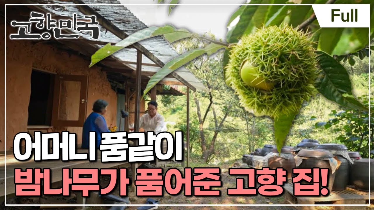 [Full] 고향민국 - 공주, 계룡산이 빚어낸 이야기