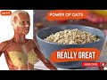 What happens to your body when you eat oatmeal  9 powerful benefits of eating oatmeal every day 