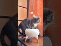 Ароматизатор воздуха 🅰️ АлиЭкспресс:ALI764540850