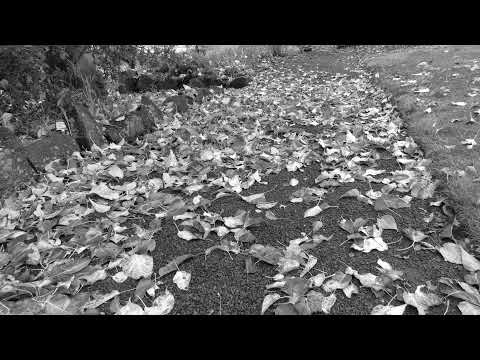 「幻覺嘎」直播