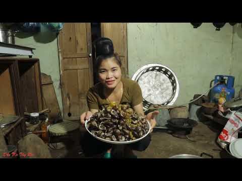 Video Ốc Đá Luộc Bia | Món Đặc Sản Vùng Núi Đá Vôi | Dân Tộc... - youtube