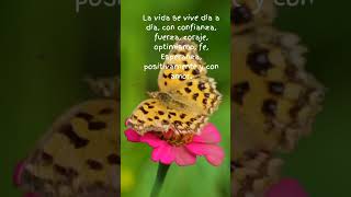 La vida se vive dia a dia #frases #valientes #amor #creer #reflexiondeldia